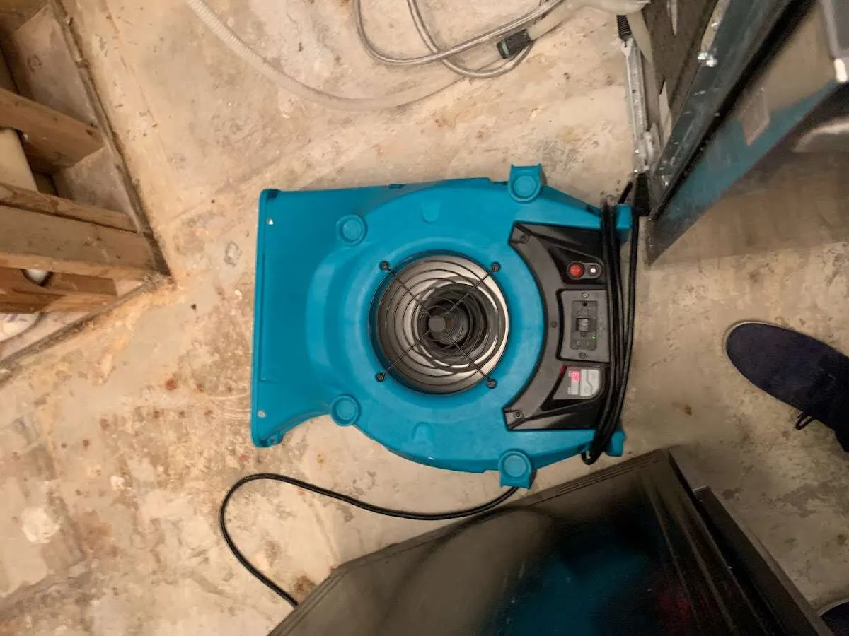 Air mover drying equipment for Mold Remediation & Removal in Fort Collins