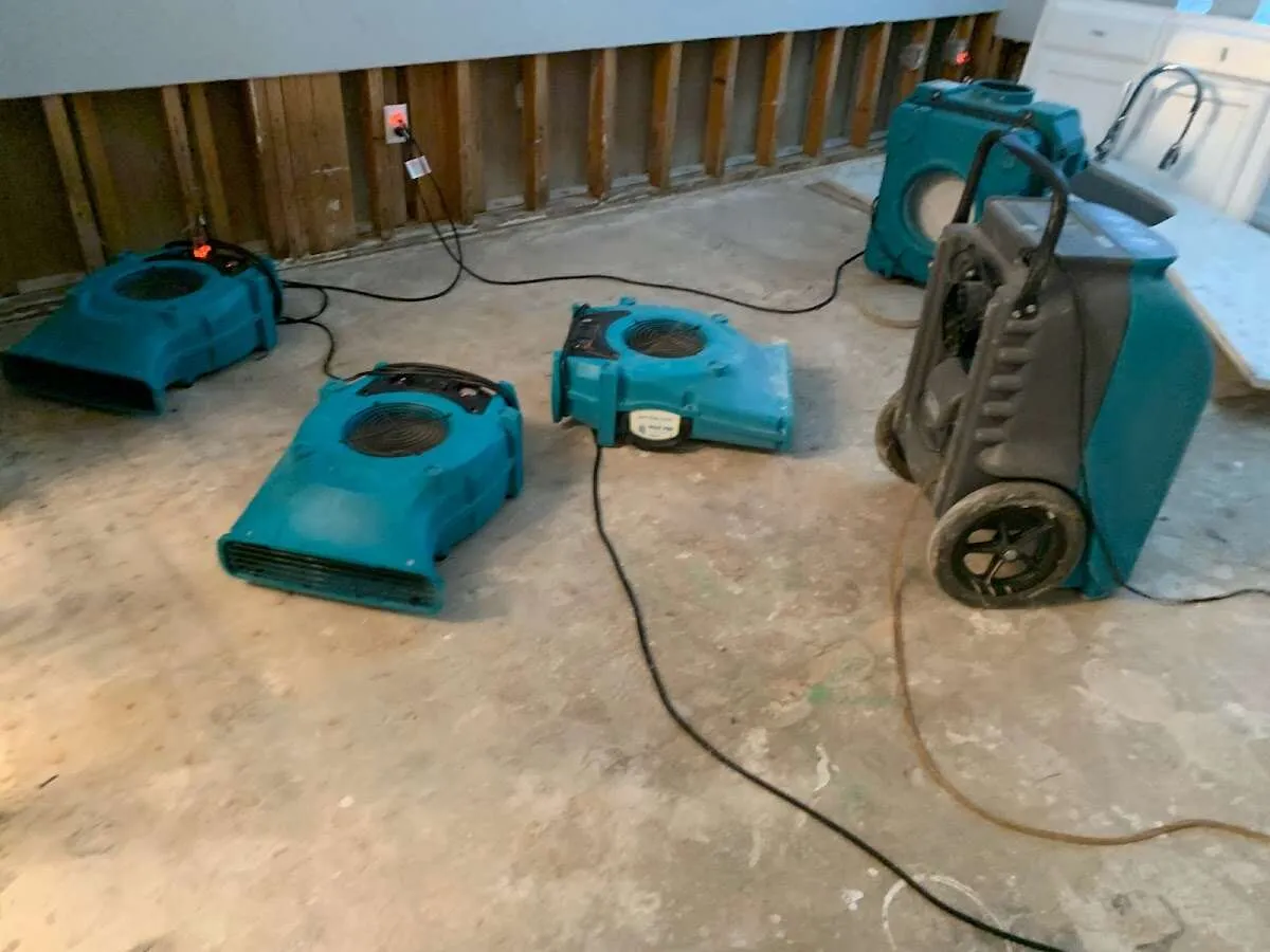 Water Damage Restoration services in Fort Collins, CO